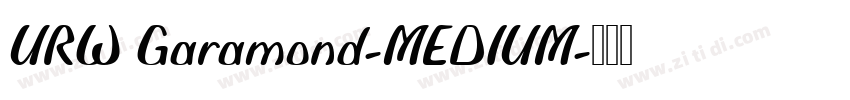 URW Garamond-MEDIUM字体转换